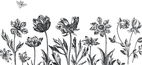 The Flowersmith Studio