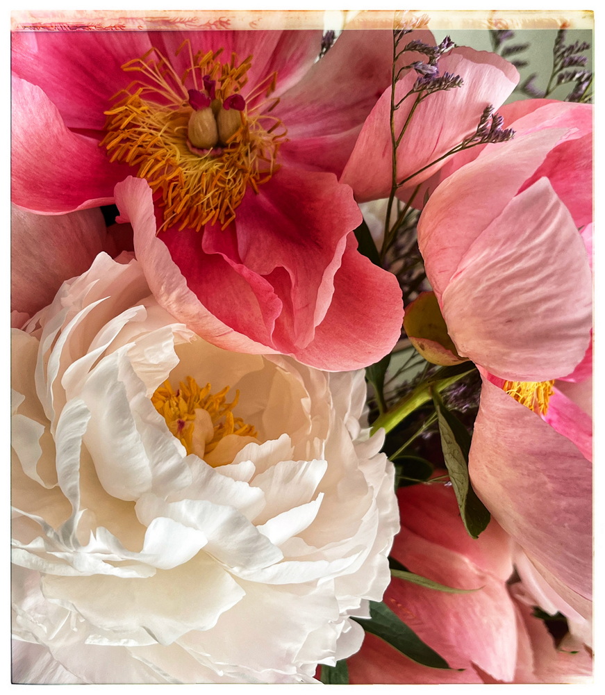 Bee Happy Flowers Middevon Weddings 40